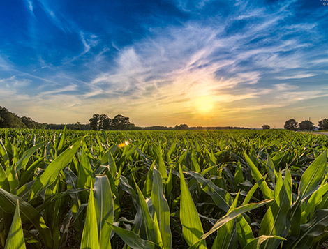 Piracicaba Engenharia Mais Rendimento