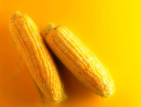 Piracicaba Engenharia Rendimento